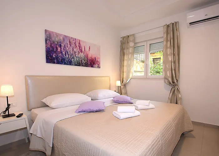 Downtown Boutique Zara